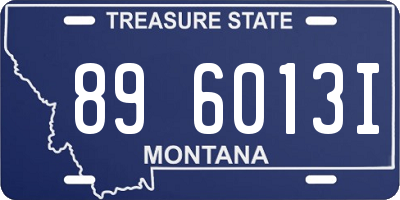 MT license plate 896013I