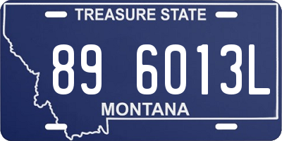 MT license plate 896013L
