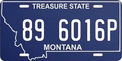 MT license plate 896016P