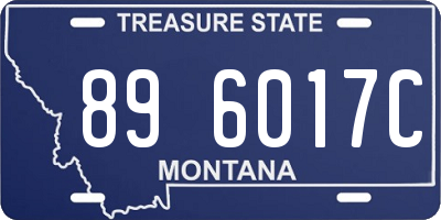 MT license plate 896017C