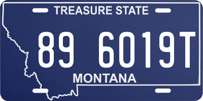 MT license plate 896019T