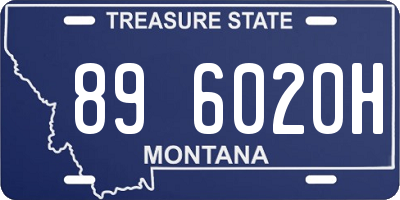 MT license plate 896020H