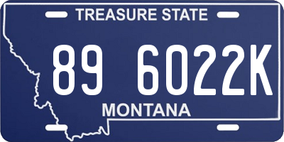 MT license plate 896022K