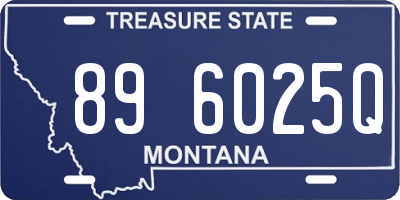 MT license plate 896025Q