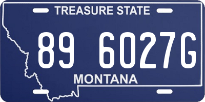 MT license plate 896027G