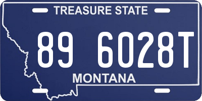 MT license plate 896028T