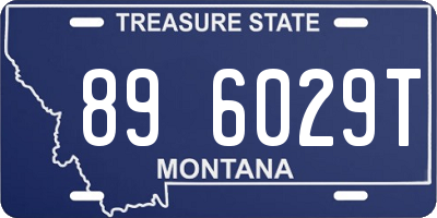 MT license plate 896029T