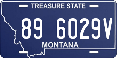 MT license plate 896029V
