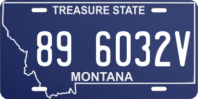 MT license plate 896032V