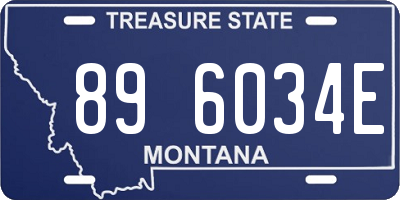 MT license plate 896034E