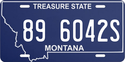 MT license plate 896042S