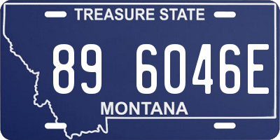 MT license plate 896046E