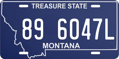 MT license plate 896047L