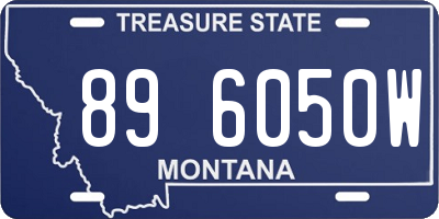 MT license plate 896050W