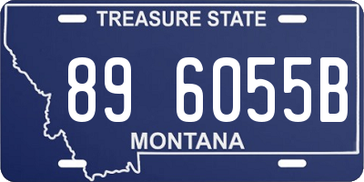 MT license plate 896055B