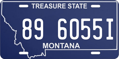 MT license plate 896055I