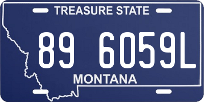 MT license plate 896059L
