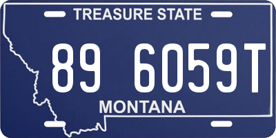 MT license plate 896059T
