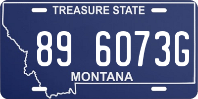 MT license plate 896073G