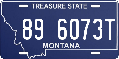 MT license plate 896073T