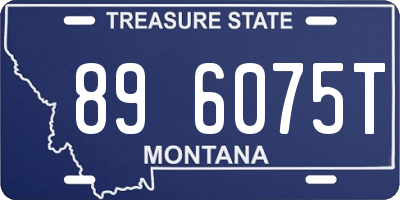 MT license plate 896075T