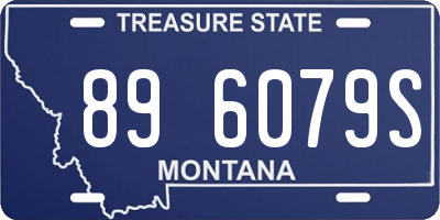 MT license plate 896079S
