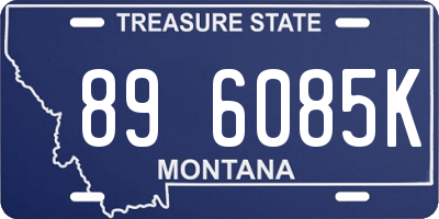 MT license plate 896085K