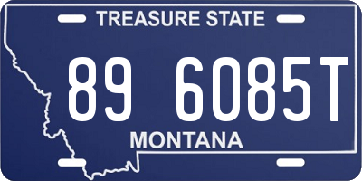 MT license plate 896085T