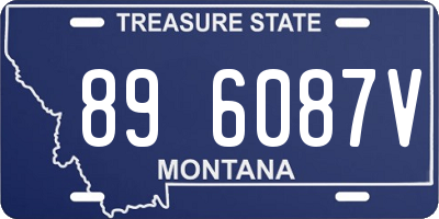 MT license plate 896087V