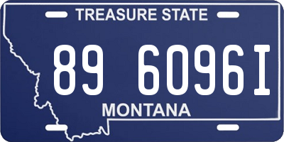MT license plate 896096I