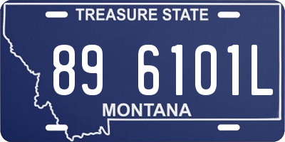 MT license plate 896101L