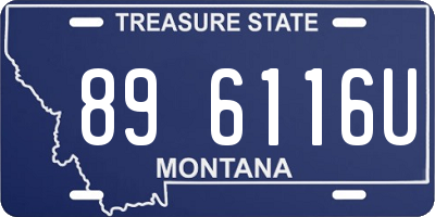 MT license plate 896116U