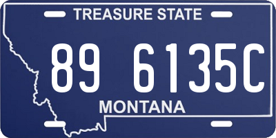 MT license plate 896135C