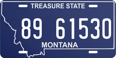MT license plate 896153O