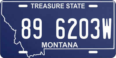 MT license plate 896203W