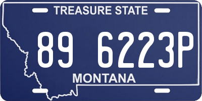 MT license plate 896223P