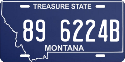 MT license plate 896224B