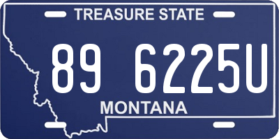 MT license plate 896225U