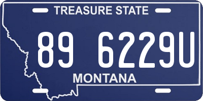MT license plate 896229U