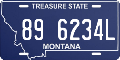 MT license plate 896234L