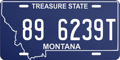 MT license plate 896239T