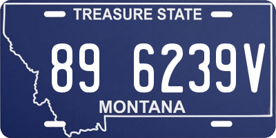 MT license plate 896239V