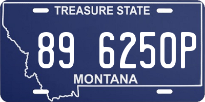 MT license plate 896250P