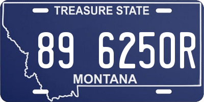 MT license plate 896250R