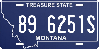 MT license plate 896251S