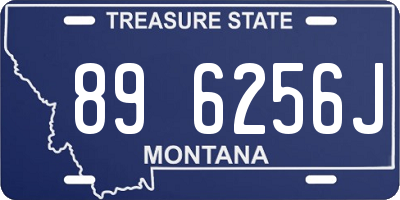 MT license plate 896256J
