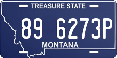 MT license plate 896273P