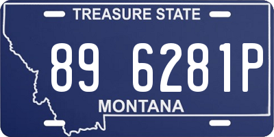 MT license plate 896281P