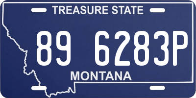 MT license plate 896283P