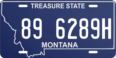 MT license plate 896289H